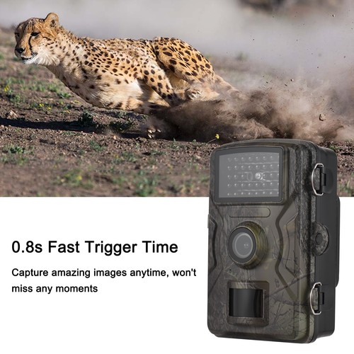 1080p trail camera 16mp - trail,