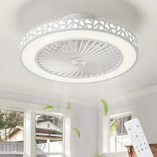IZOWE ceiling fan with light &
