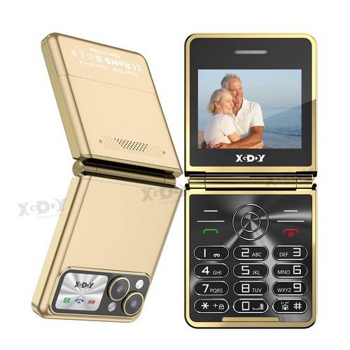 Gsm dual sim flip mobile - sim, phone