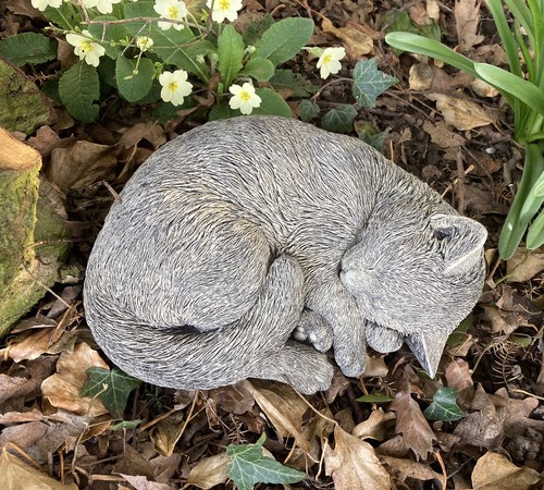 Stone garden sleeping cat - cat, /