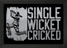Single Wicket Cricket Play