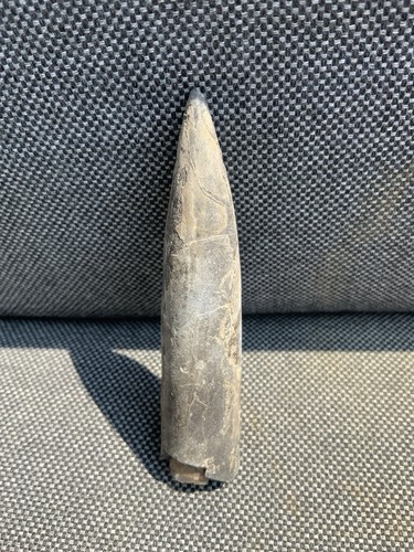 Fossil belemnite unpolished - fossil,