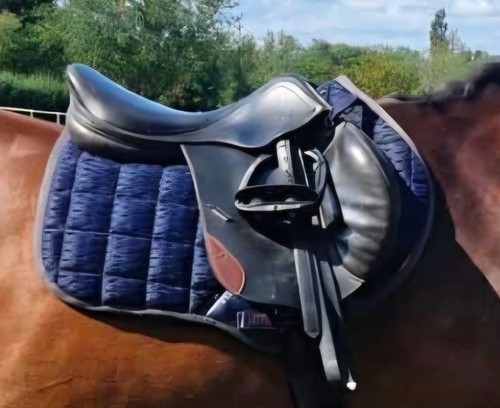 John whitaker black - 17.5", jump