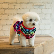  Large Dog Halloween Costumes