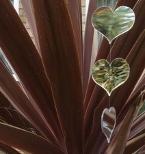 2 X Garden Hanging Mirrors