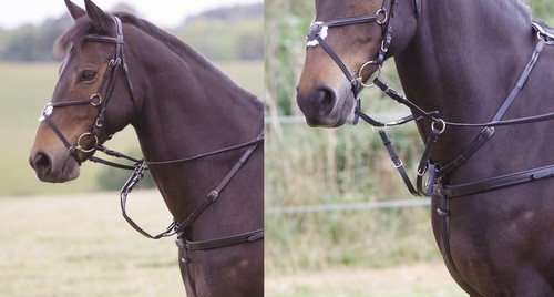 Shires salisbury leather - shires,