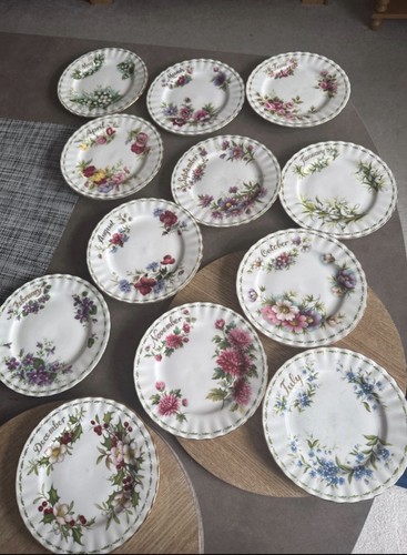 Royal albert flower - flower, of