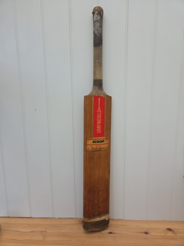 Gray nicolls cricket bat david - gray,