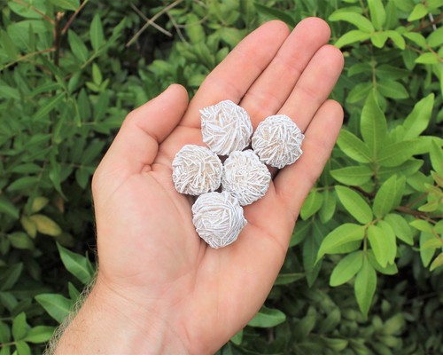 Desert rose selenite buds - 5,