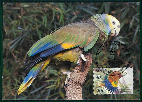 Vincent wwf fauna birds - fauna,