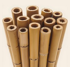 2Ft 3Ft 4Ft 5Ft 6Ft Bamboo Cane Heavy Duty Thick Garden Pole Plant Support Stick