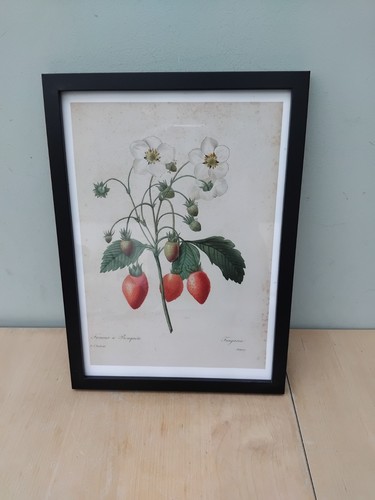 Framed print pierre - a4,