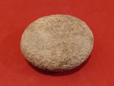 AUTHENTIC FINE BISCUIT