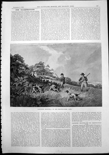 Old print partridge shooting - old,