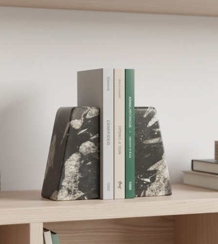 Polished fossil bookends - polished,