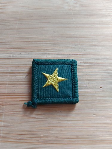 Scouting 1970 cub scout - cub,