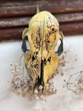 Hand Painted Mammal Skull