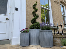 Galvanised tub planters large - galvanised,