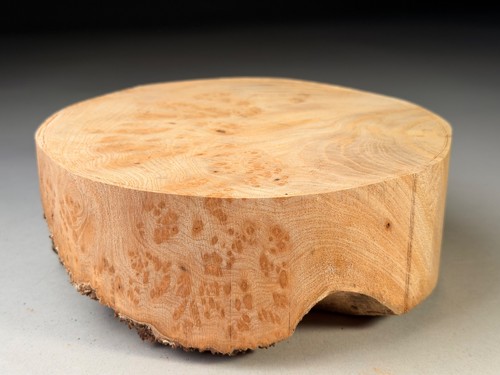 Burr elm wood turning - burr,
