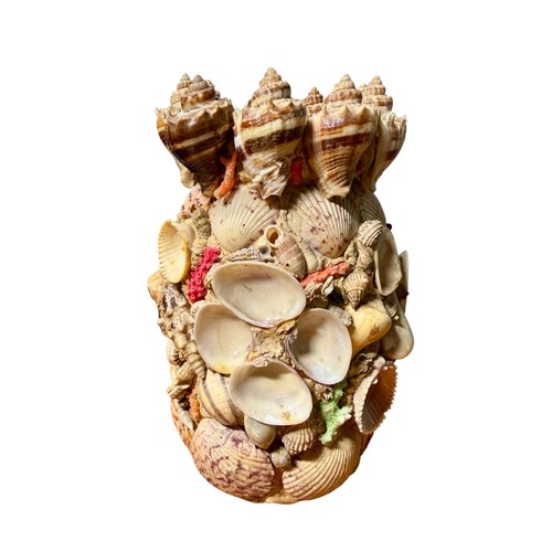 Vintage sea shell - 7.75”,