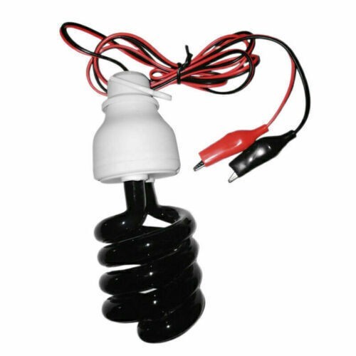 12v black light blub - uv,