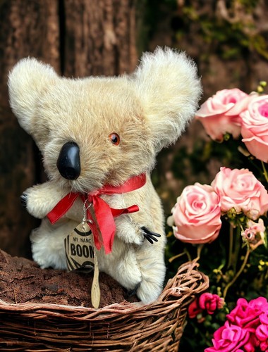 Vintage koala bear - koala, real