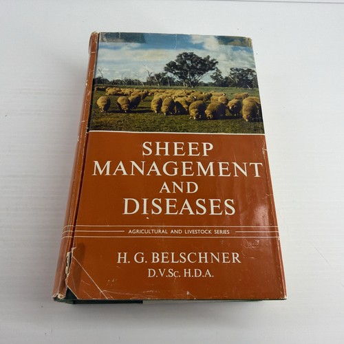 Vintage sheep management and - sheep,