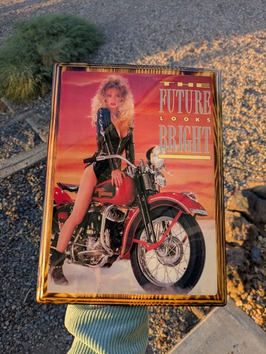 Biker chick harley davidson - biker,