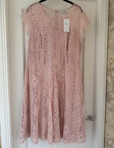 Gorgeous nwt pale pink stretch - nwt,
