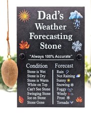 Funny  Weather Forecasting