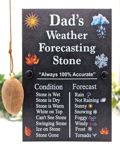 Funny weather forecasting - funny,