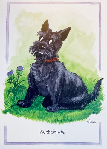 Funny scottie dog greeting - scottie,