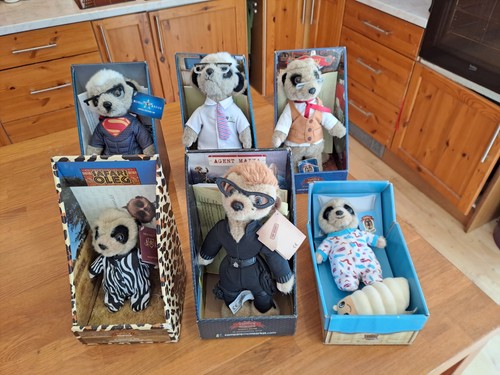 Compare the meerkat - x,