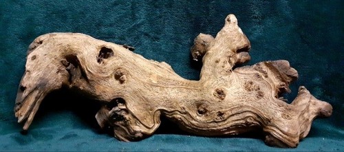 Large mopani wood - large,
