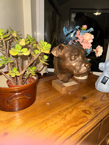 Ray hunt staffordshire bull - hunt,