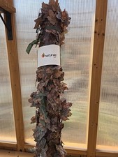 Nature Gear 96x40in Wild Oak