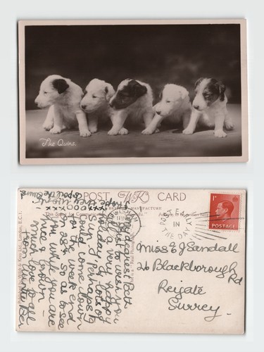Postcard the quins - -,