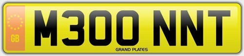 Monty mont number - number, plate