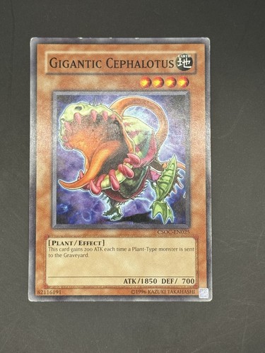 Gigantic cephalotus - gigantic, |