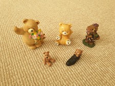 Selection Of Teddy Bear