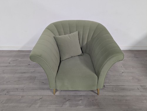 Scallop back pale - scallop, green