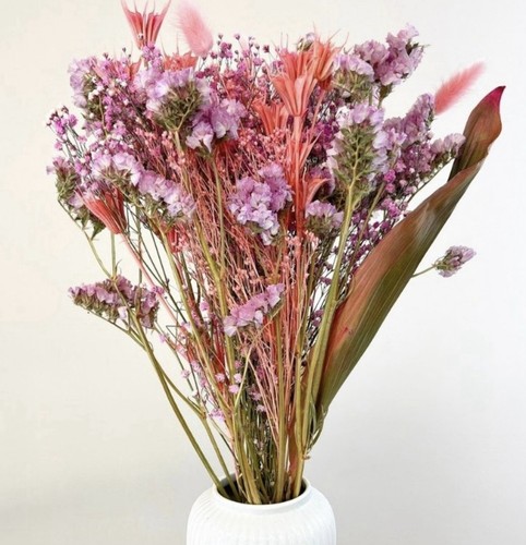 Fantasia pink dried flower - dried,