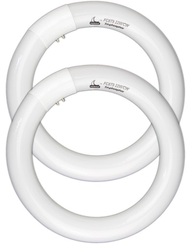 Fc8t9 circular fluorescent - fc8t9/cw,