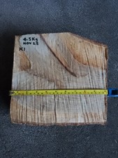 Lot K1, Oak Log  Slice