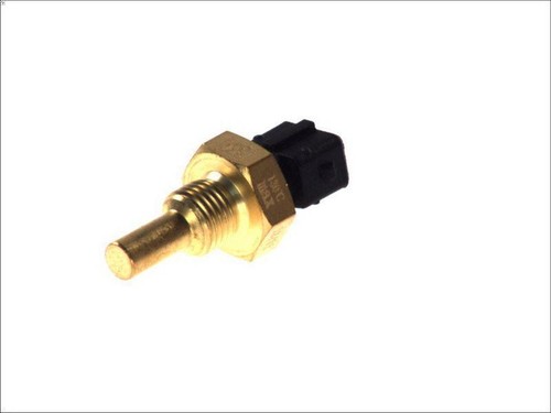 Sensor coolant temperature - temperature, dt