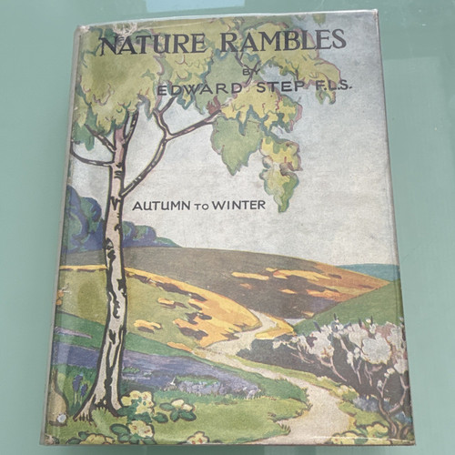 Edward step nature rambles - step,
