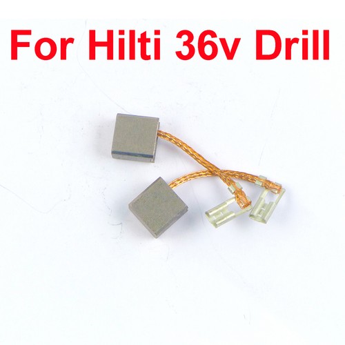 Carbon brushes for hilti te7 - for,