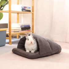Cat rabbit guinea pig - cat,