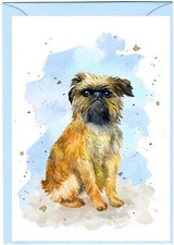 Griffon Bruxellois Dog A6