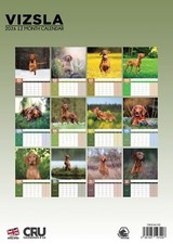 Vizsla Dog 2026 A3 Calendar